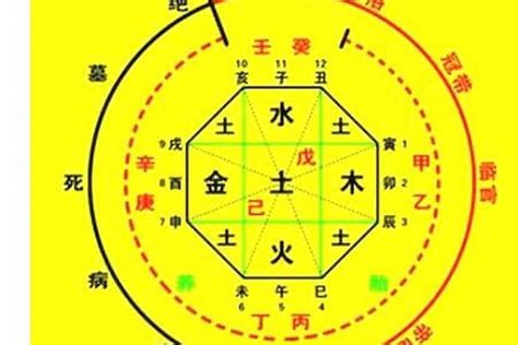 八字十神查詢|免費生辰八字五行屬性查詢、算命、分析命盤喜用神、喜忌